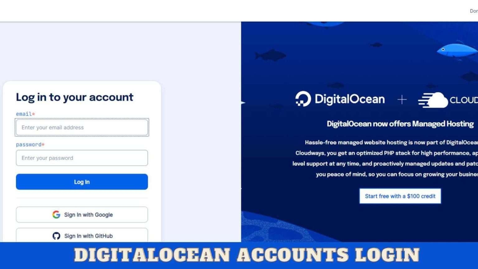 Buy Digital Ocean Accounts